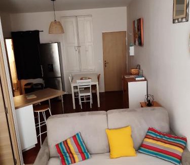 Saint-Mathieu Apartment | T2 climatisé en centre ville