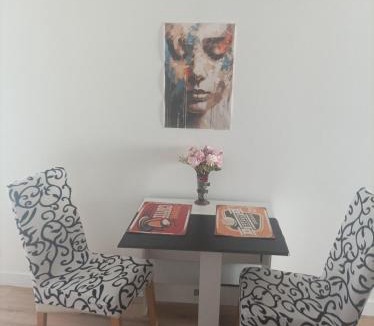 Graulhet Apartment | T2 Cosy, agréable fonctionnel et douillet, 1 lit 140 et un BZ , Wifi gratuit, boîte à clés, proche commerces et gare routière, linge de lit et toilette offerts à partir de 4 nuits