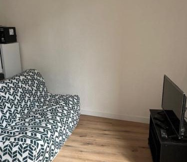 Graulhet Apartment | T2 Cosy, agréable fonctionnel et douillet, 1 lit 140 et un BZ , Wifi gratuit, boîte à clés, proche commerces et gare routière, linge de lit et toilette offerts à partir de 4 nuits