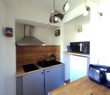 Clermont-l'Herault Apartment | T2 cosy avec terrasse privative