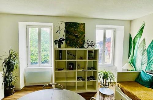 La Roche-sur-Foron Apartment | T2 Cozy au Centre, 3 Couchages, Train Express Annecy-Evian-Genève-SaintGervais, Evènements Salon RochExpo, Chamonix et Megève à 45mn, Annecy à 30mn!