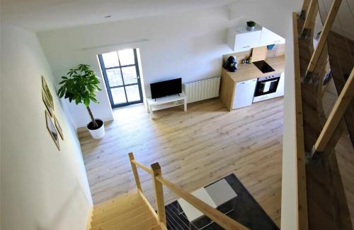 Segre Apartment | T2 Duplex Segré - Hyper centre - Wifi - Netflix