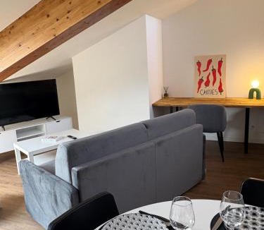 Albi Apartment | T2 Hypercentre Parking Terrasse