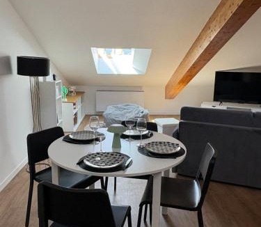 Albi Apartment | T2 Hypercentre Parking Terrasse
