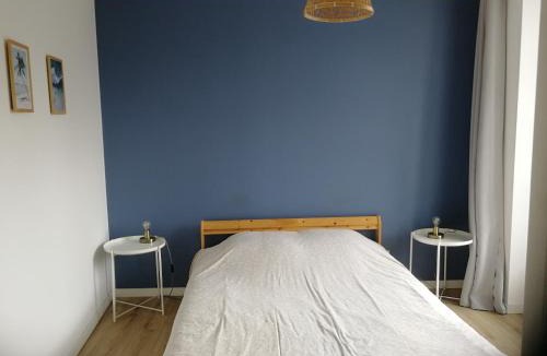 Segre Apartment | T2 lumineux - Segré hyper Centre - Wifi - Netflix