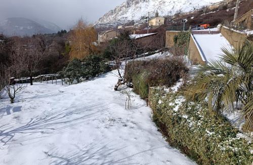 Albertacce Apartment | T2 Niolu