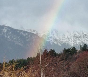 Albertacce Apartment | T2 Niolu