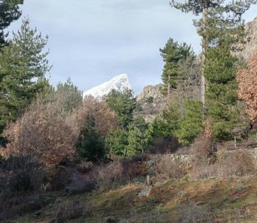 Albertacce Apartment | T2 Niolu