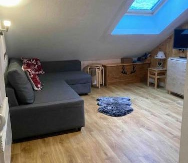 Pyrenees 2000 Apartment | T2 pour 4 pers style chalet pied des pistes