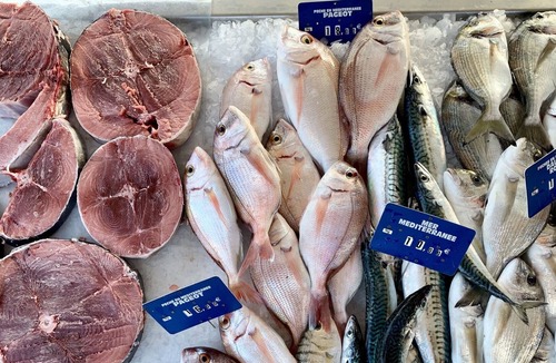 Palavas-les-Flots Apartment | T2 "Sea Front" 50m2 TOP