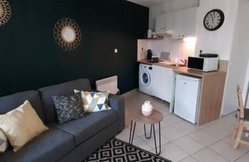 Saint - Martin - du - Touch Apartment | T2 St Martin du Touch proche Airbus, Stelia, CS