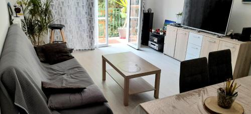 Amelie-les-Bains-Palalda Apartment | T2 Tout Confort