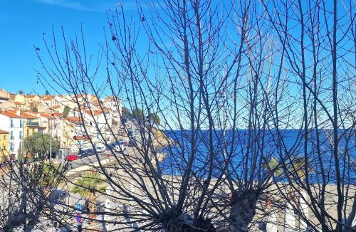 Banyuls-sur-Mer Apartment | T3 à 50m de la plage, climatisé, Banyuls-sur-Mer - FR-1-309-9