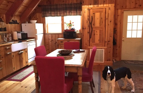 Sunnyside Cabin | Tahoe Park Architectural Gem – Cozy, Convenient & Dog-Friendly!