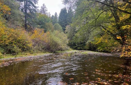 Mason County House | Tahuya River Escape