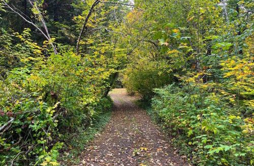 Mason County House | Tahuya River Escape