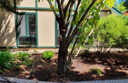 Port Willunga House | Take a beach shack break in simple setting, a step to Port Wilunga Esplanade.