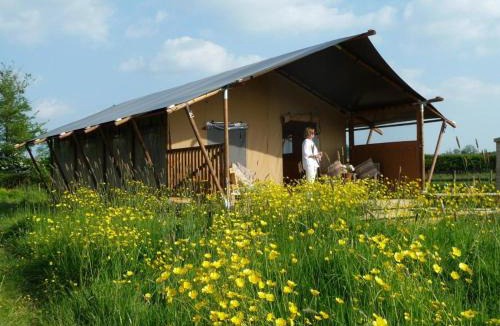 Glastonbury Cabin | Tall Trees Glamping