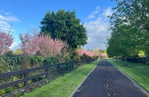 Tamahere Bed & Breakfast | Tamahere Lifestyle