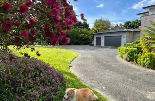 Tamahere Bed & Breakfast | Tamahere Lifestyle