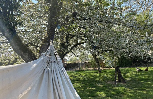 Mosson House | Tamaris House