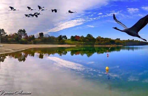 Morcenx House | Tamaris - Morcenx - Gîte