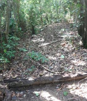 Kudat Cabin | Tampat do Aman