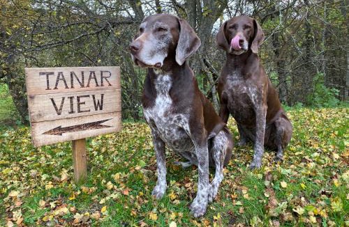 Aboyne Apartment | Tanar View