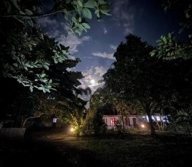 Marinsow House | Tangkoko Jungle Homestay