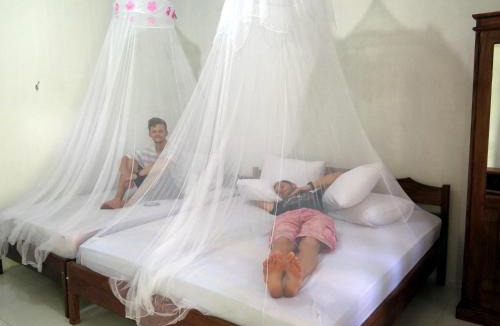 Bitung House | Tangkoko Macaca