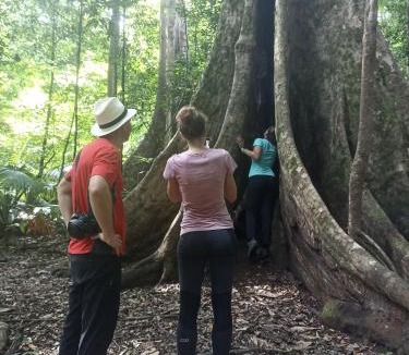 Marinsow House | Tangkoko Ranger Homestay