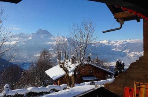 Les Posses-sur-Bex Ski Chalet | Tanière