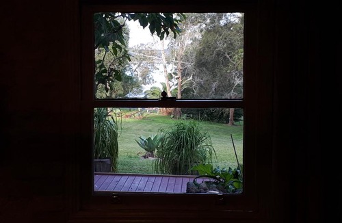 Tanilba Bay Cabin | Tanilba House