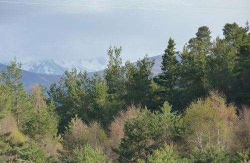 Grantown-on-Spey Apartment | Tanleys - Skye Pod