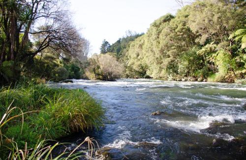 Kawerau House | Tarawera River Lodge Motel