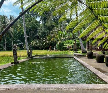 Taro House | tarotours accommodation