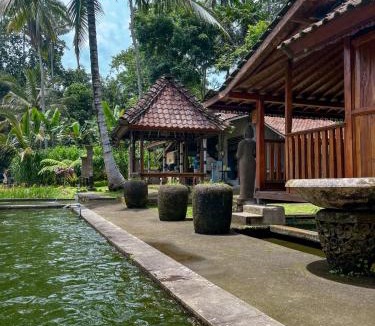 Taro House | tarotours accommodation
