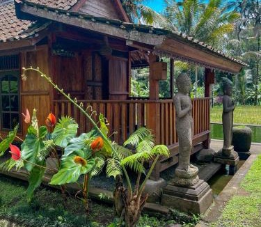 Taro House | tarotours accommodation