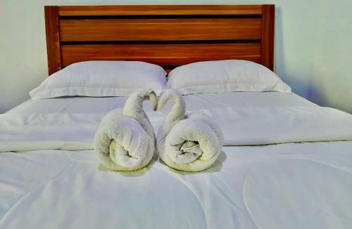 Marinsow House | Tarsius Homestay Tangkoko