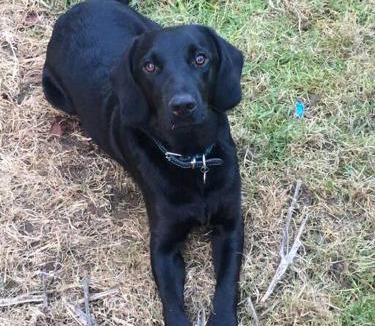 Hethel Apartment | Tasburgh - Farthings