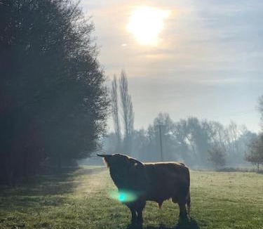 Hethel Apartment | Tasburgh - Farthings