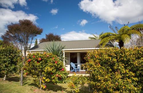 Hahei Cabin | Tatahi Lodge Beach Resort