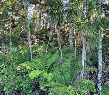 Matakana House | Tauhou Matakana