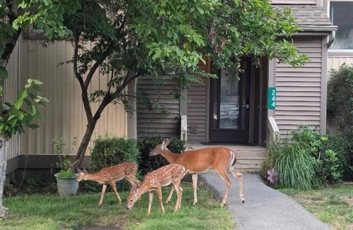 East Stroudsburg House | TDT Poconos Getaways