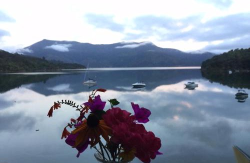 Te Mahia Resort | Te Mahia Bay Resort