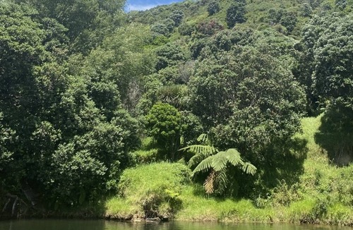 Te Mata Apartment | Te Mata Bach a road back from Te Mata beach