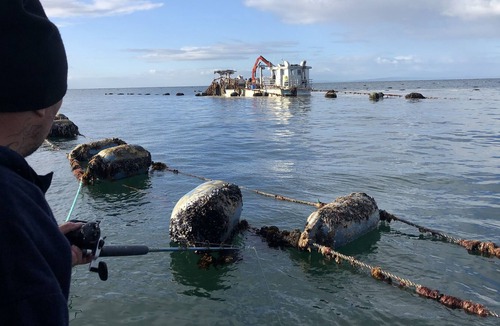 Te Mata Apartment | Te Mata Bach a road back from Te Mata beach