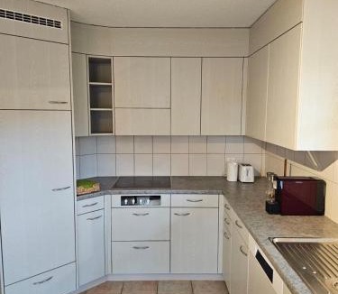 Tegerfelden Apartment | Tegerfelden Weinregion