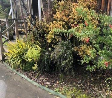 Raurimu Ski Chalet | Tekoa Lodge Raurimu