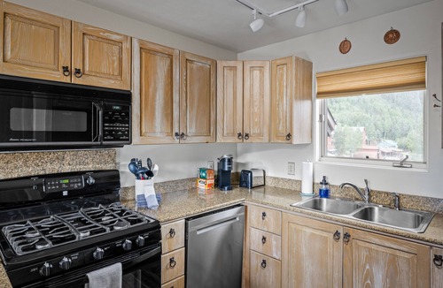 Telluride Apartment | Telluride Resort View at Double Diamond, Ski-in/out, mountain views and hot tub!